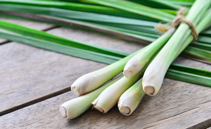 DH Natural Ground Lemongrass